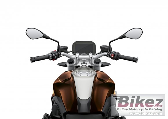 2019 BMW R 1250 R