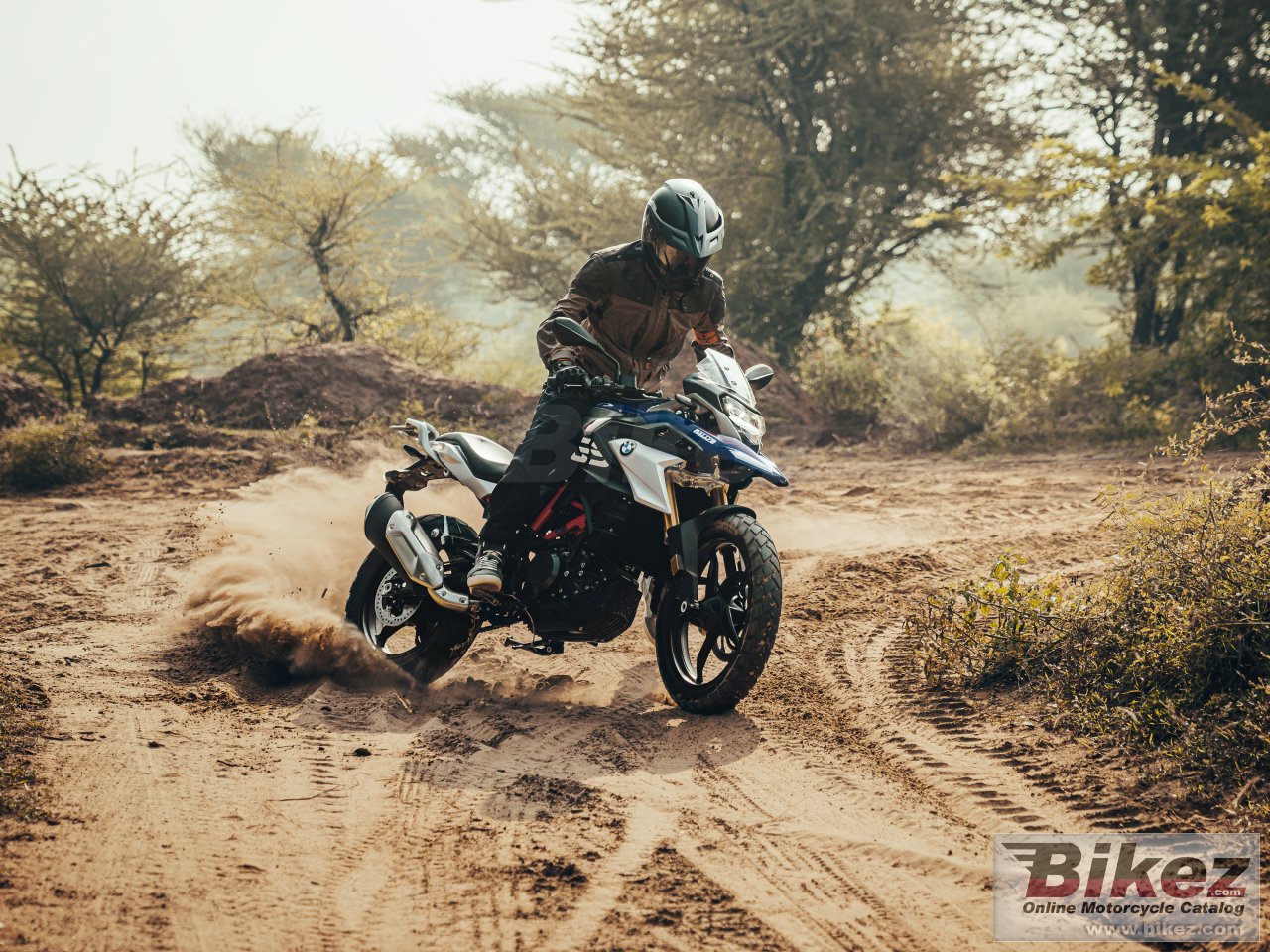 BMW G 310 GS