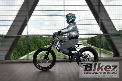 2021 BMW Vision Amby