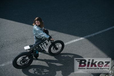 2021 BMW Vision Amby
