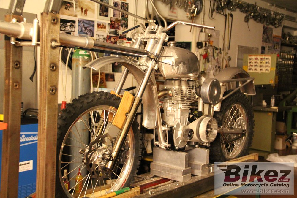 Borile B500Ricki