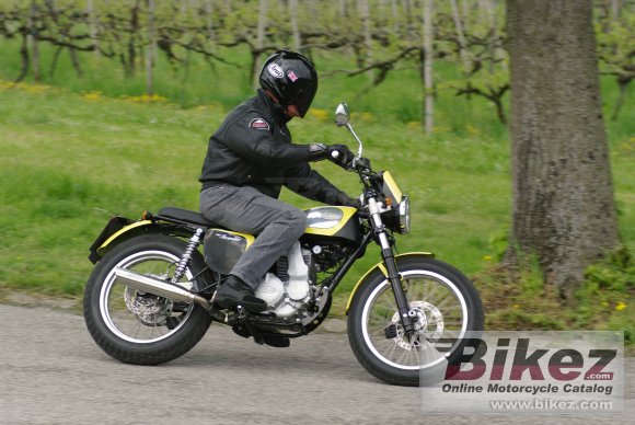 2014 Borile B450Scrambler