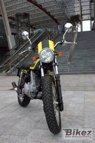 2014 Borile B450Scrambler