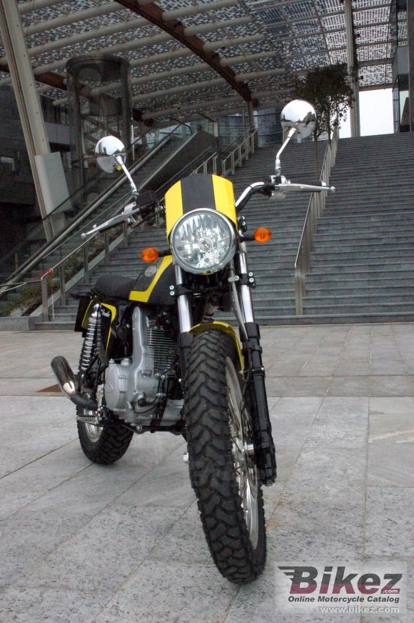 2014 Borile B450Scrambler