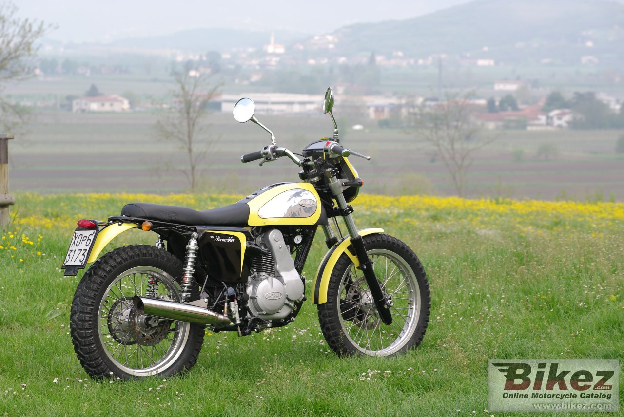 Borile B450Scrambler