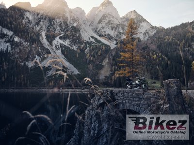 2023 Brixton Storr 500