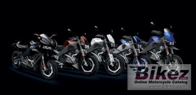 2008 Buell Lightning XB12Scg