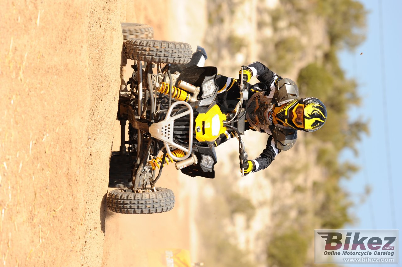 Can-Am DS 450 EFI X mx