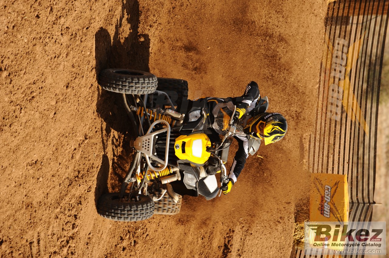 Can-Am DS 450 EFI X mx