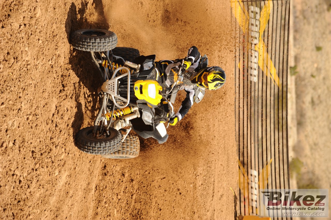 Can-Am DS 450 EFI X mx