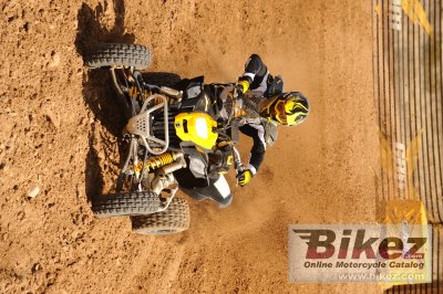 2010 Can-Am DS 450 EFI X mx