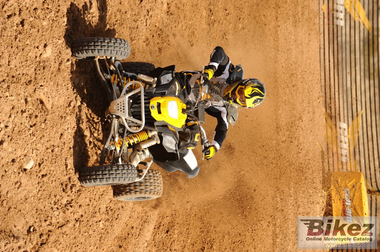 Can-Am DS 450 EFI X mx