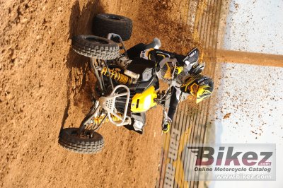 2010 Can-Am DS 450 EFI X mx