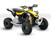 2010 Can-Am DS 450 EFI X xc