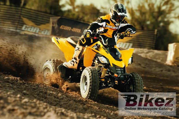 2010 Can-Am DS 250