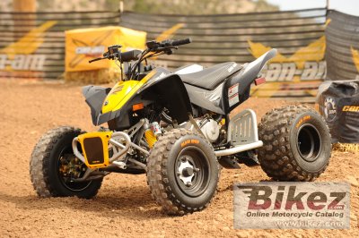 2010 Can-Am DS 90 X