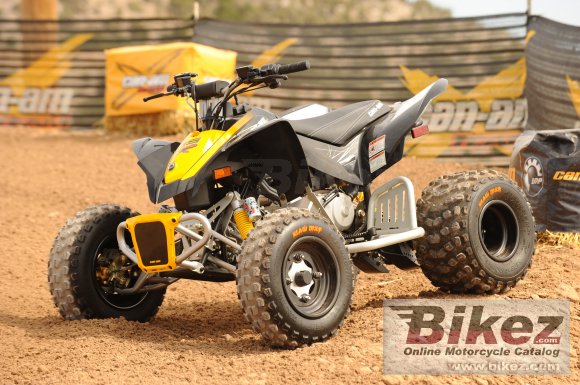 2010 Can-Am DS 90 X