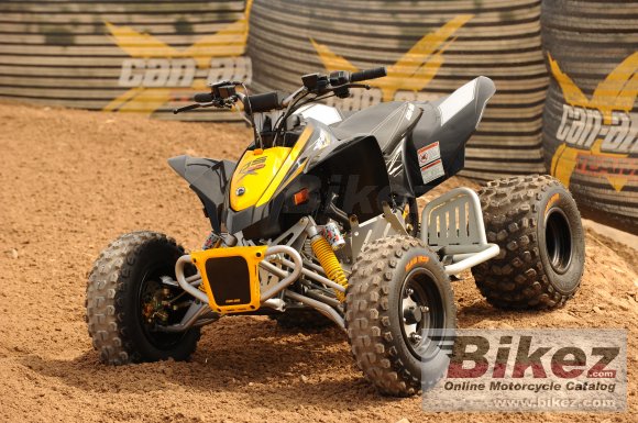 2010 Can-Am DS 90 X