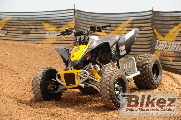 2010 Can-Am DS 90 X