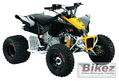 2010 Can-Am DS 90 X