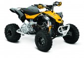 2014 Can-Am DS 450 X xc