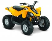 2014 Can-Am DS 70