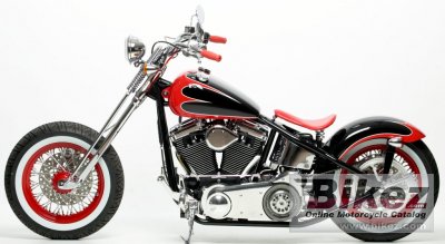 2011 Covingtons Beach Cruiser