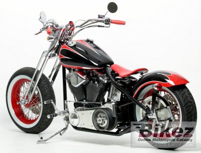 2011 Covingtons Beach Cruiser