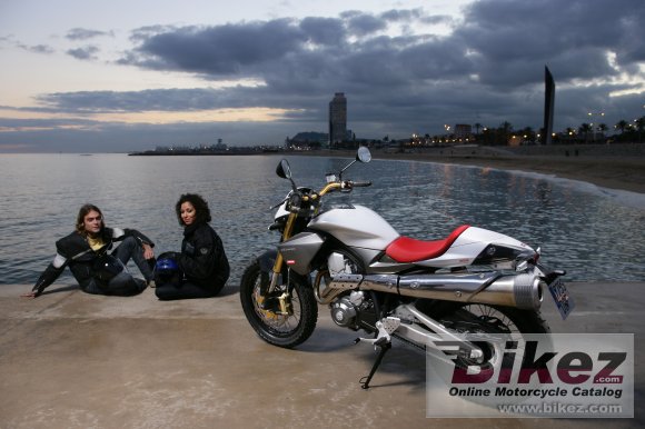 2006 Derbi Mulhacen 659