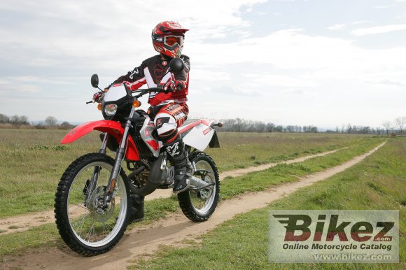 2006 Derbi Senda X-Treme 50 R