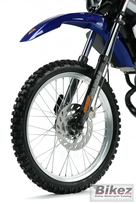 2006 Derbi Senda X-Treme 50 R