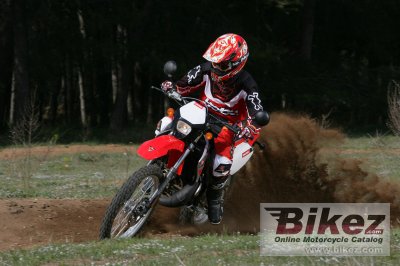 2006 Derbi Senda X-Treme 50 R