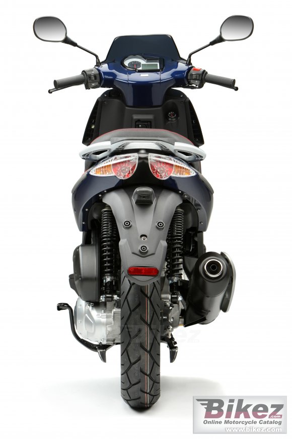 2009 Derbi Rambla 250