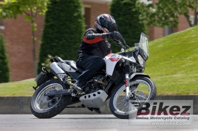 2010 Derbi Terra Adventure 125
