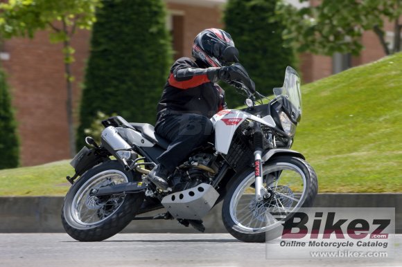 2010 Derbi Terra Adventure 125