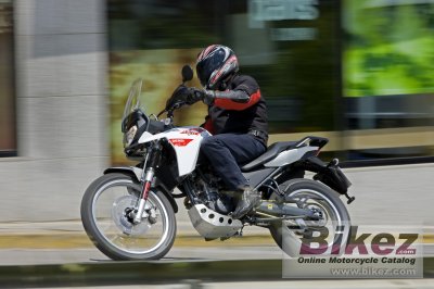 2010 Derbi Terra Adventure 125