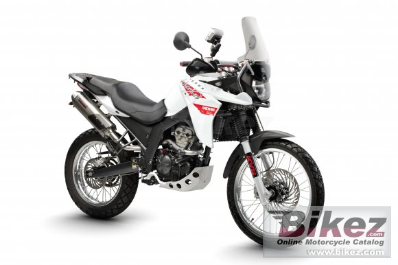 2010 Derbi Terra Adventure 125