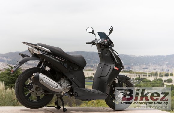 2010 Derbi Rambla 300i