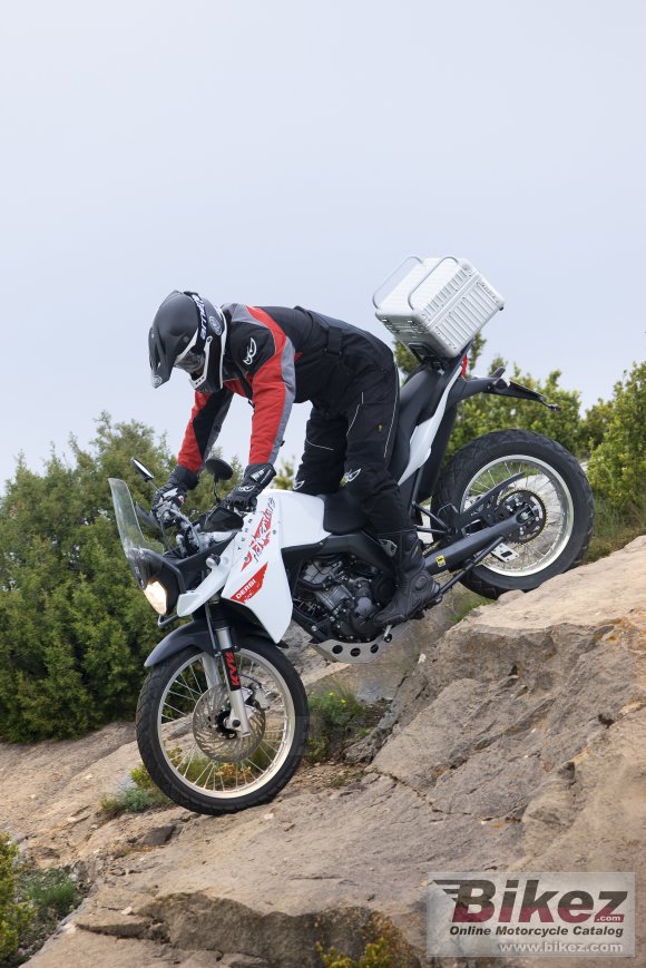 2011 Derbi Terra Adventure 125