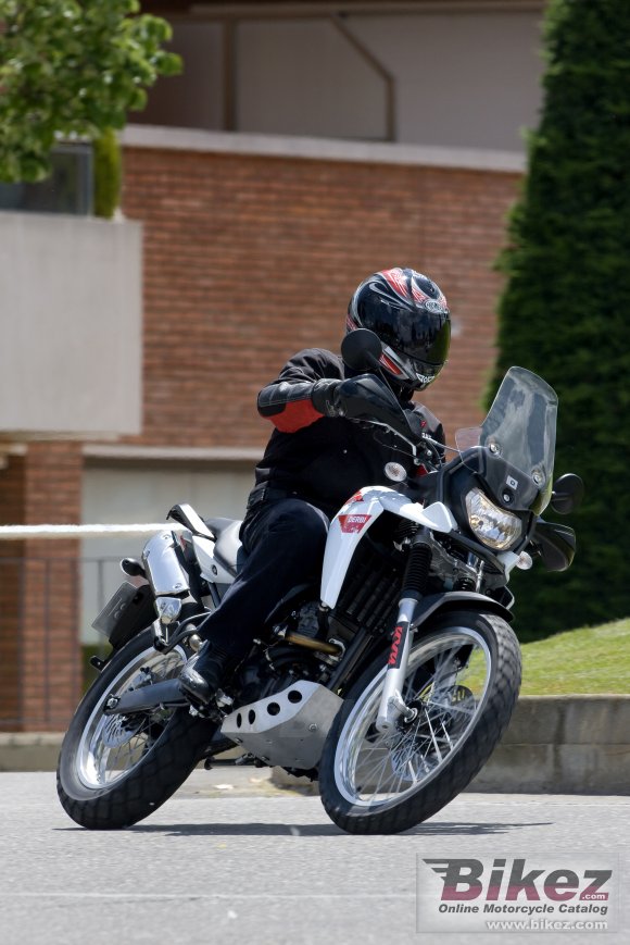 2011 Derbi Terra Adventure 125