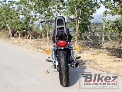 2016 DF Motor DF250RTD