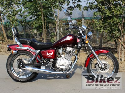 2016 DF Motor DF250RTD