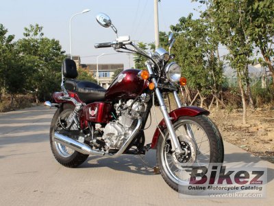 2016 DF Motor DF250RTD