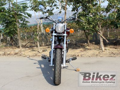 2016 DF Motor DF250RTD