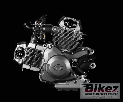2013 Ducati Monster 1100 EVO