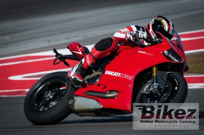 2014 Ducati 1199 Panigale R