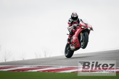 2014 Ducati 1199 Panigale R