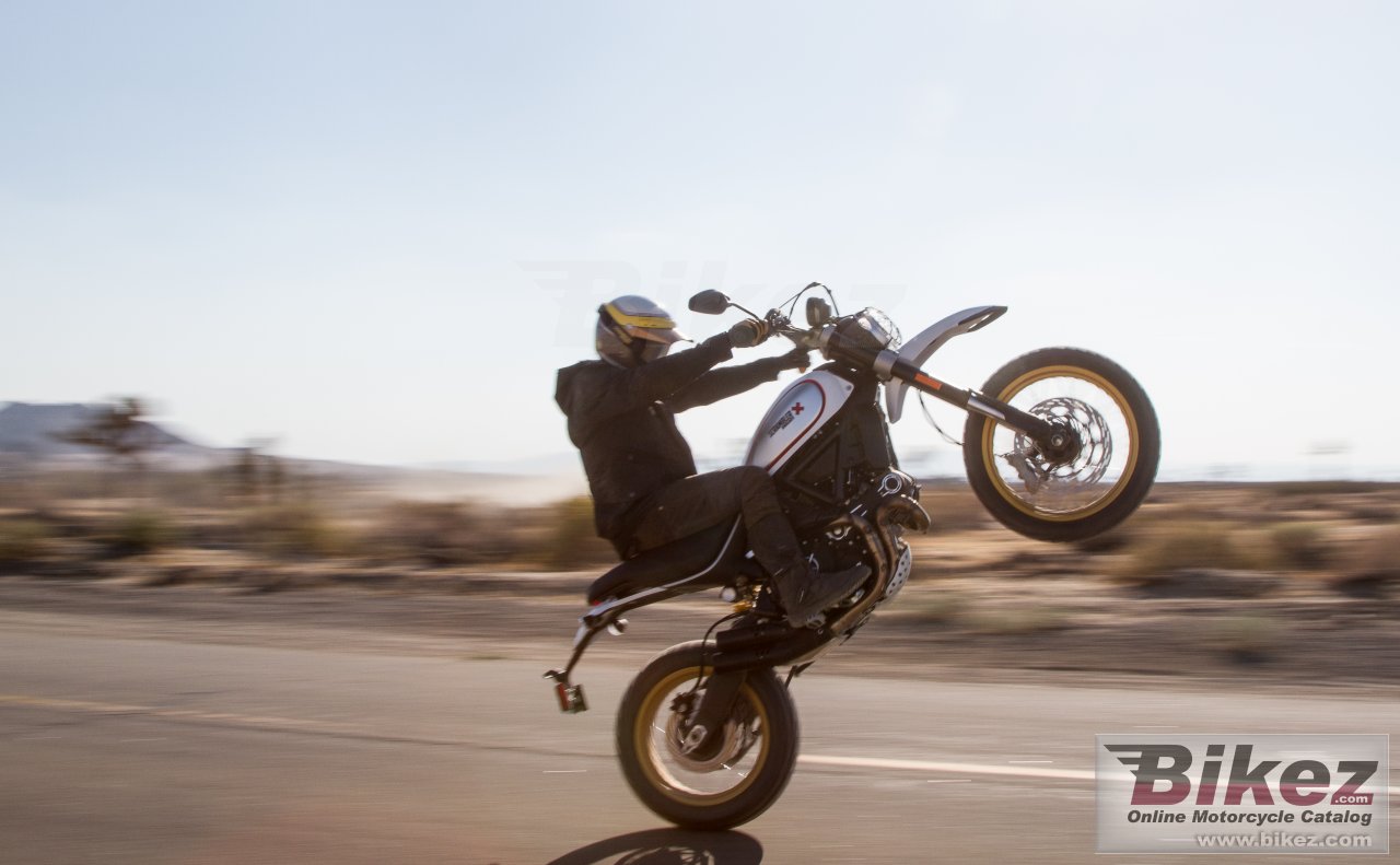 Ducati Scrambler Desert Sled