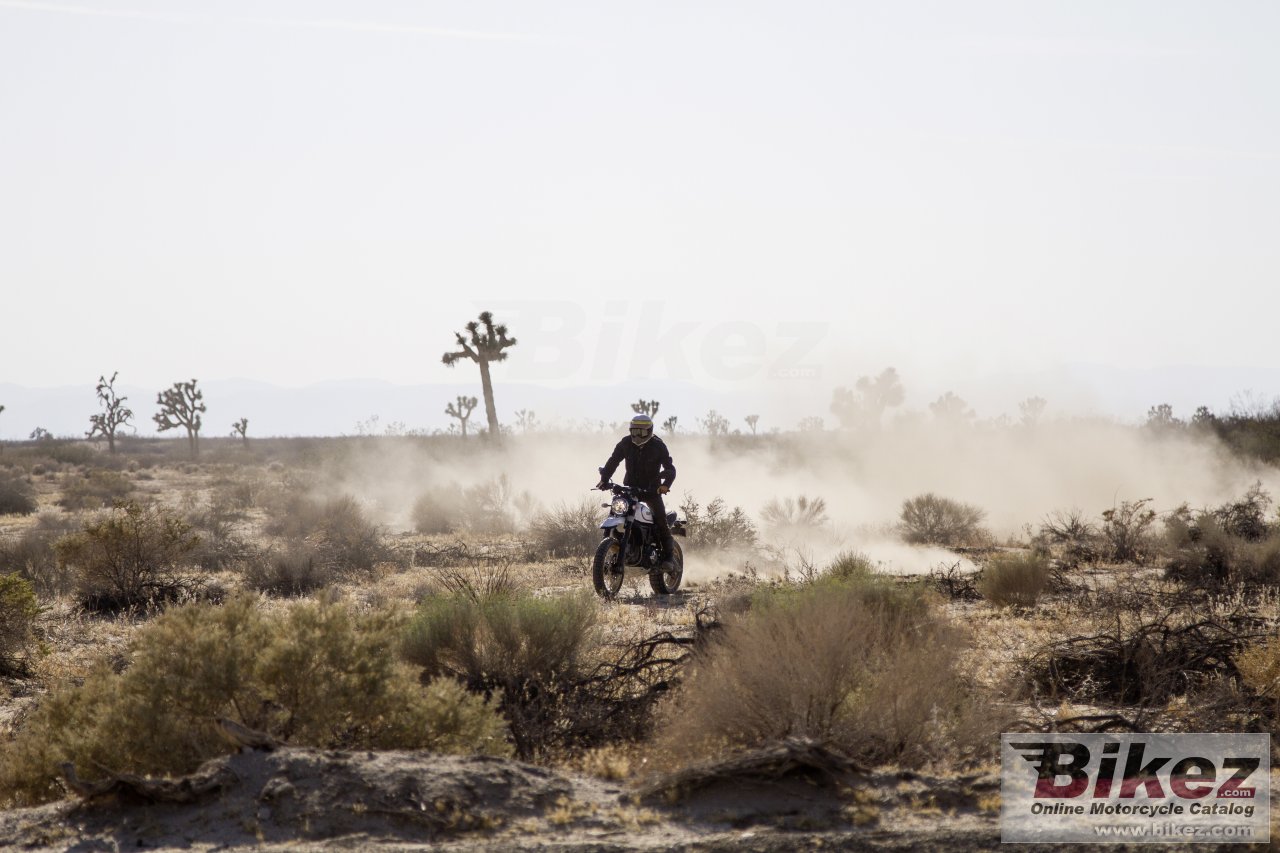 Ducati Scrambler Desert Sled