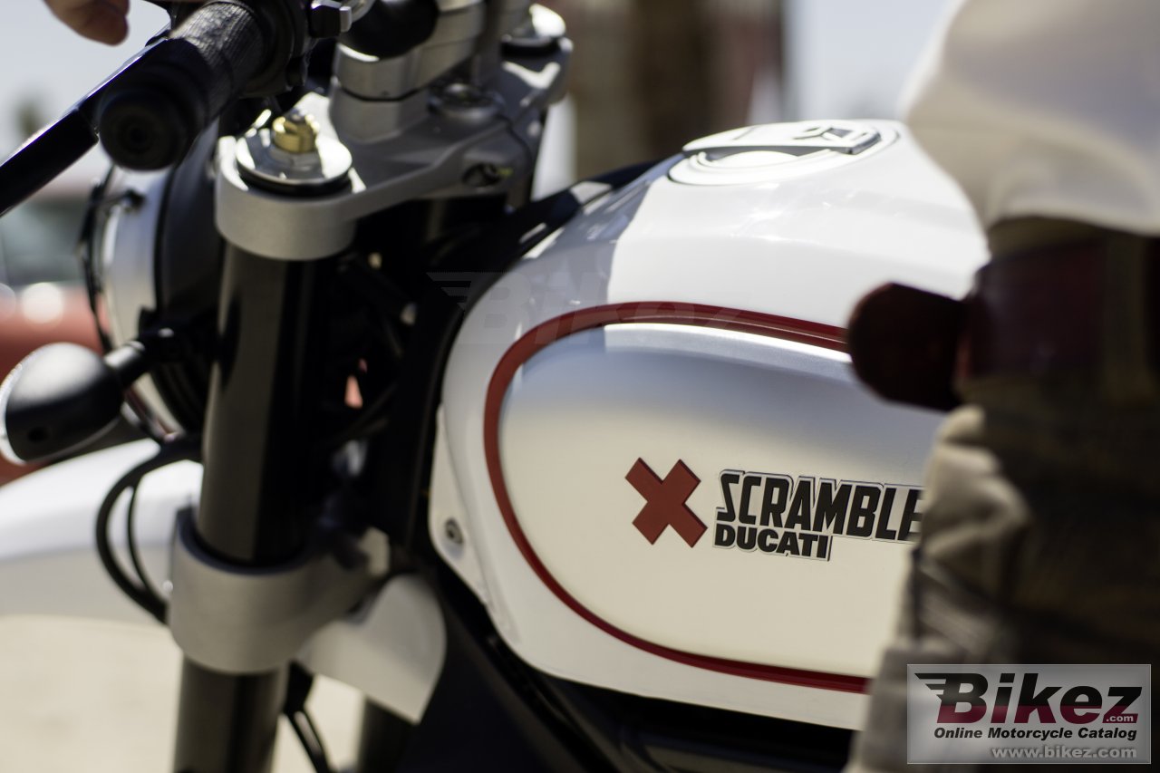 Ducati Scrambler Desert Sled